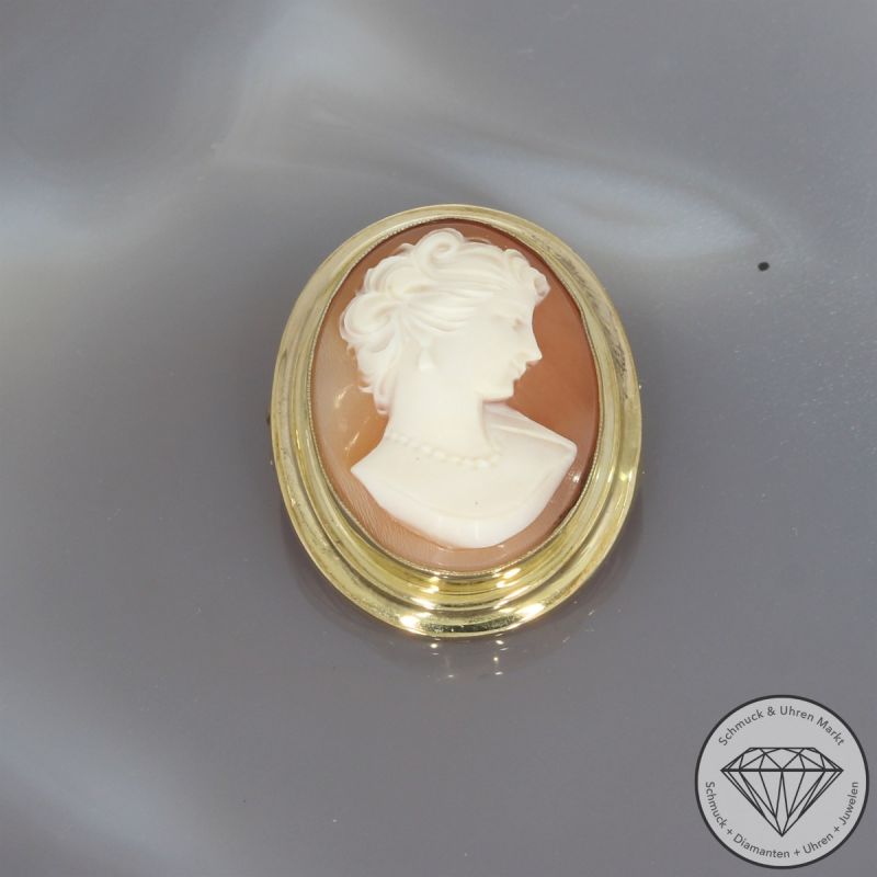 Wert 690 € Muschelkern Gemme Brosche 333er/8 Karat Gelb Gold Länge 3,1 cm – 103727