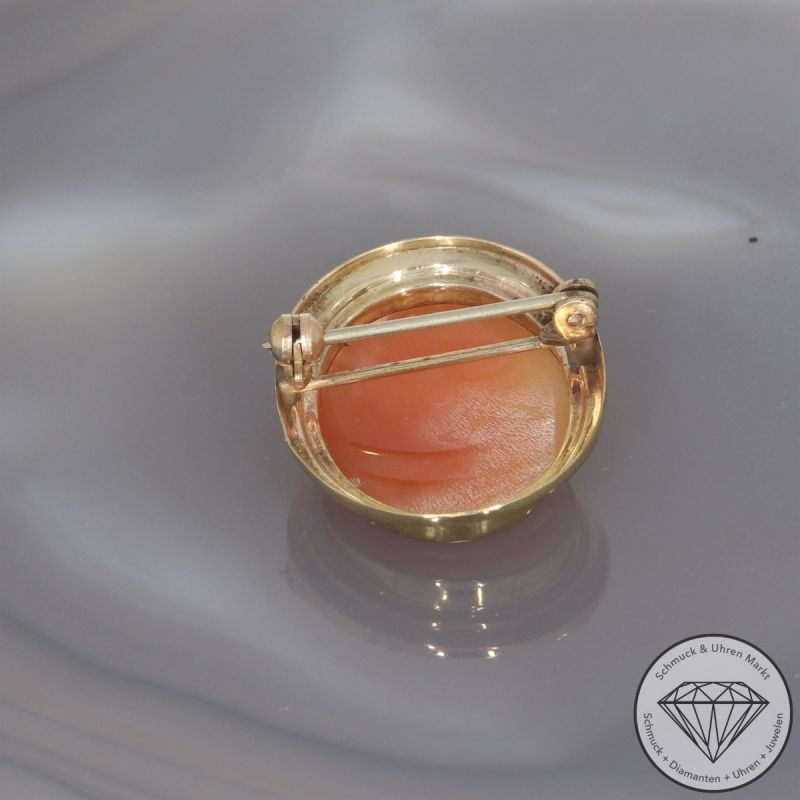 Wert 690 € Muschelkern Gemme Brosche 333er/8 Karat Gelb Gold Länge 3,1 cm – 103727