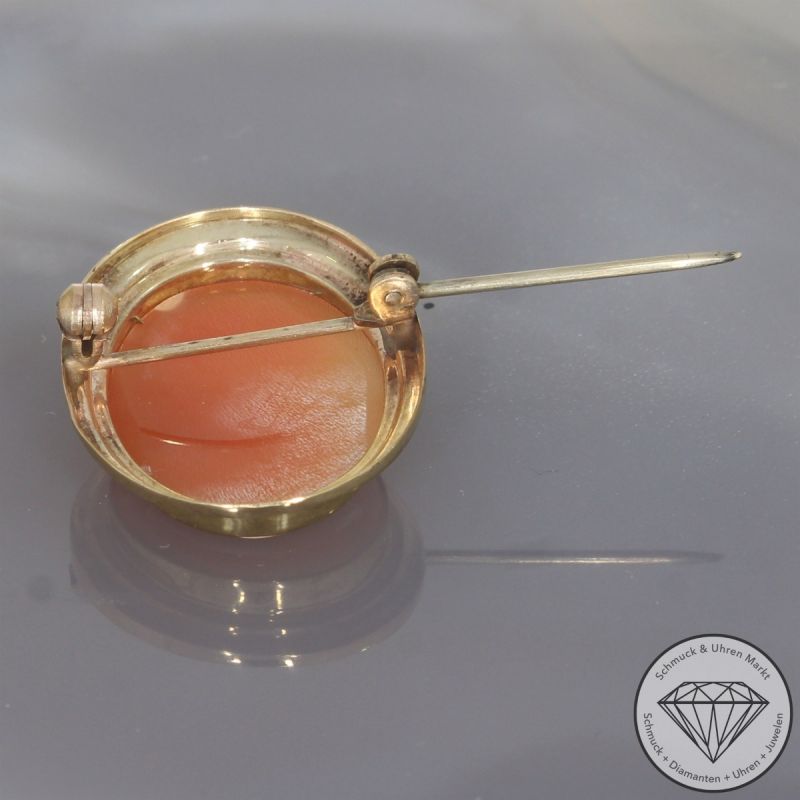 Wert 690 € Muschelkern Gemme Brosche 333er/8 Karat Gelb Gold Länge 3,1 cm – 103727