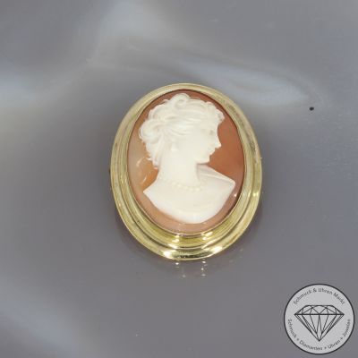 Wert 690 € Muschelkern Gemme Brosche 333er/8 Karat Gelb Gold Länge 3,1 cm – 103727
